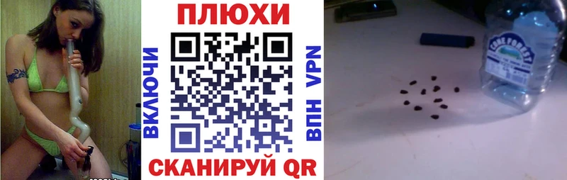 ГАШ ice o lator Магас