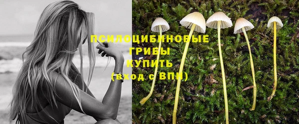 таблы Каменка