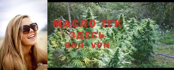 дмт Инта