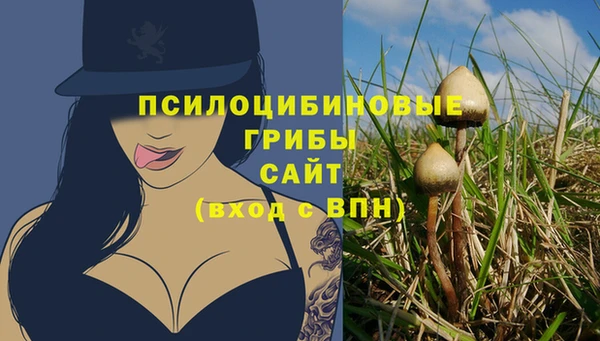 альфа пвп Каменногорск