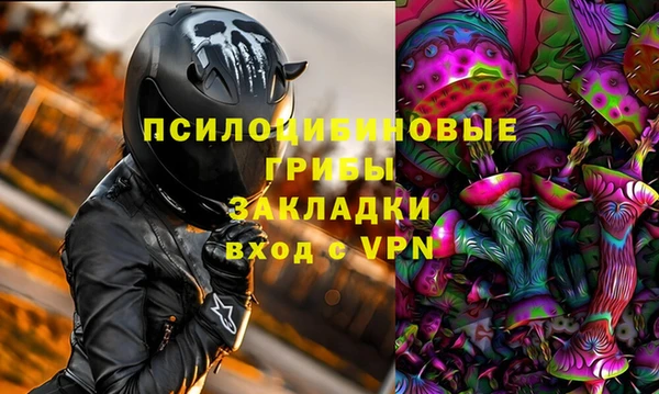 твердый Каменск-Шахтинский