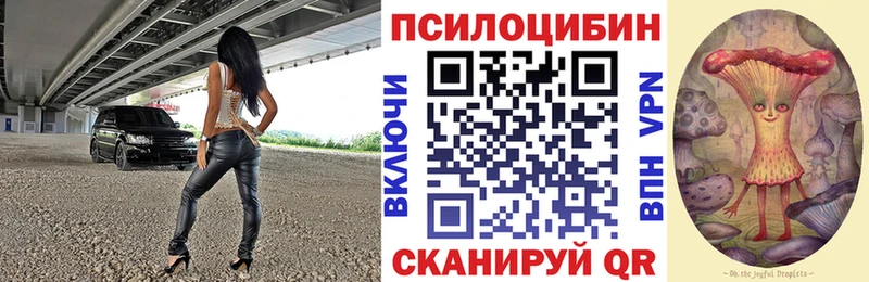 Галлюциногенные грибы прущие грибы  Купить закладки  Магас 
